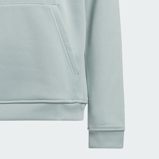 Adidas Unisex Climawarm Graphic Hoodie